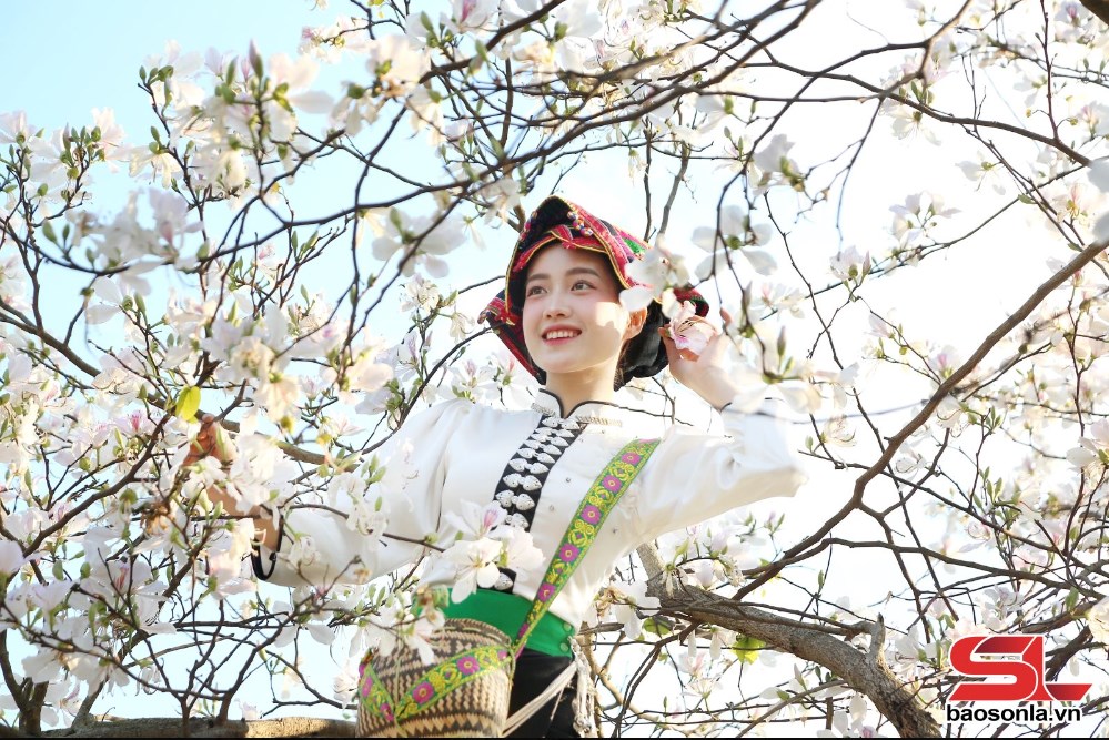 Săn hoa ban Tây Bắc cùng giới trẻ